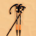 Summit Carbon Trekking Poles