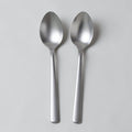 Titanium Long Spoon Set